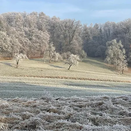 Gemuetliches-gaestezimmer Apartament Notzingen