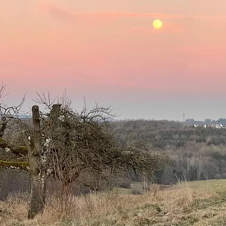 Gemuetliches-gaestezimmer