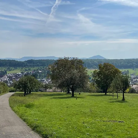 Gemuetliches-gaestezimmer Appartement
