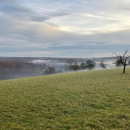 Gemuetliches-gaestezimmer *