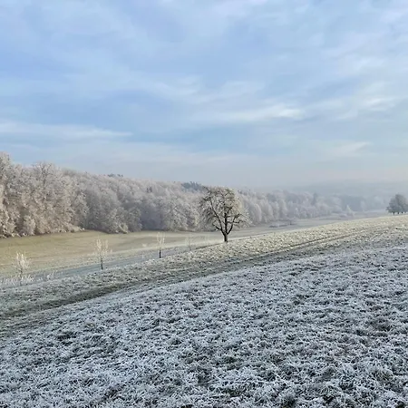 Gemuetliches-gaestezimmer Apartament *