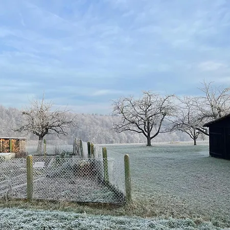 Gemuetliches-gaestezimmer Notzingen