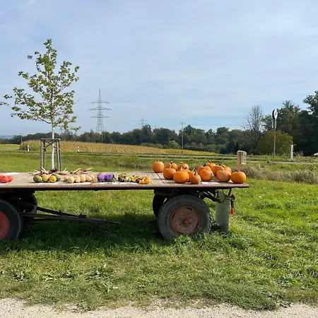 Gemuetliches-gaestezimmer *