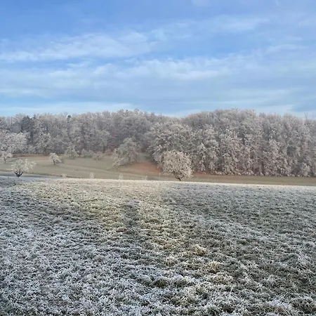 Gemuetliches-gaestezimmer Notzingen