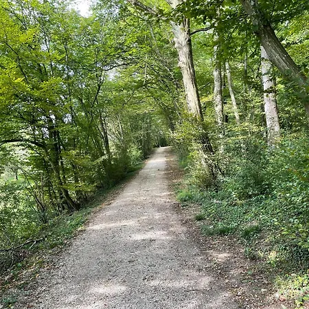 Gemuetliches-gaestezimmer Notzingen